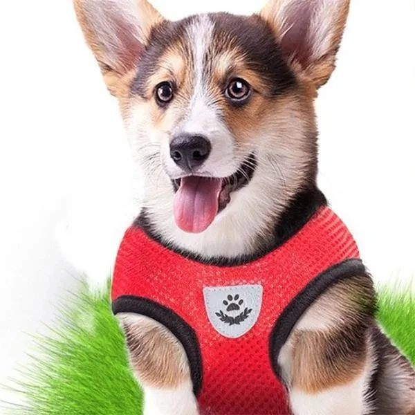 Pet Harness and Leash Set Cat and Dog Walking Soft Mesh Breathable Adjustable Vest for Kitten Puppy Pet Supplies Dog Leash Chest Strap